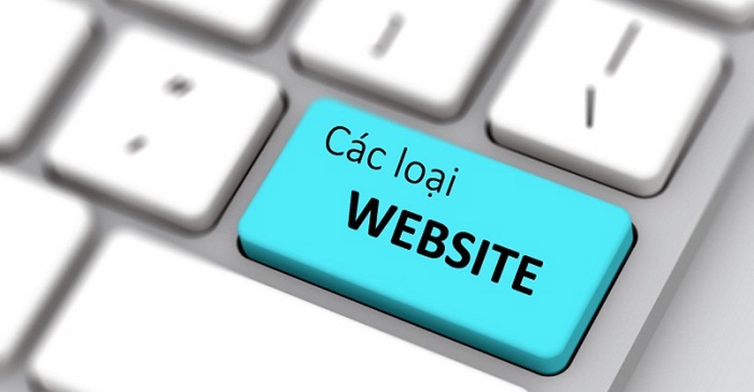 Các loại website được sử dụng nhiều hiện nay