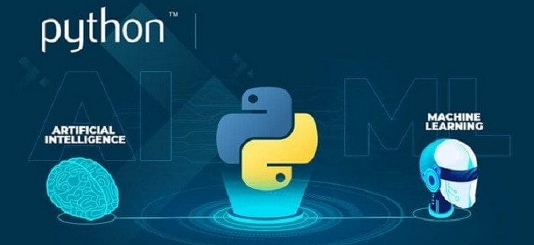 Python được sử dụng như thế nào?