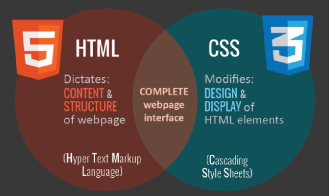 Cách sử dụng các thuộc tính HTML và CSS để tối ưu SEO