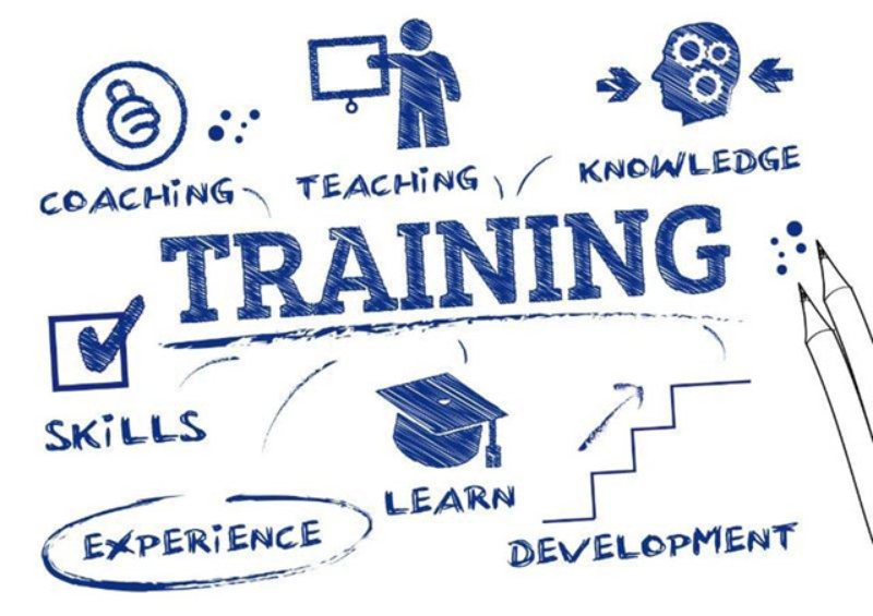 Training là gì? Và tầm quan trọng của việc training trong mọi ngành nghề